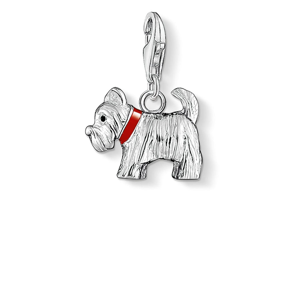 THOMAS SABO Charm "Dog Terrior" - Penelope Kate